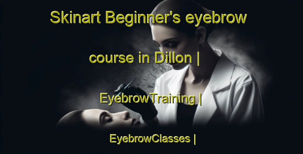 Skinart Beginner's eyebrow course in Dillon | EyebrowTraining | EyebrowClasses | SkinartTraining-United States